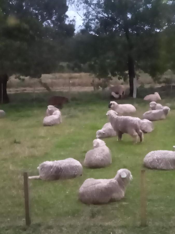 Pousada Do Pampa Jaguarão Exteriör bild